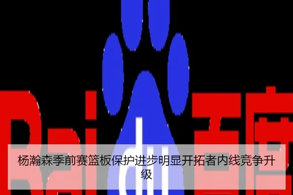 杨瀚森季前赛篮板保护进步明显开拓者内线竞争升级